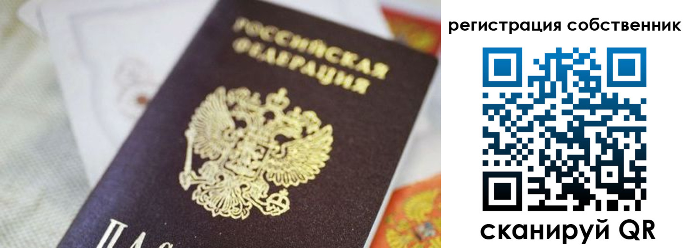 прописка для работы в Лузе